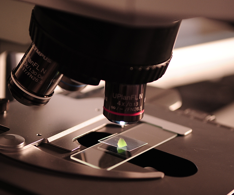 KWR, Kölner Wissenschaftsrunde, Meldung, Köln Neuigkeiten, Wissenschaft, Wissenswertes aus Köln, Universität zu Köln, Zukunftspreis, Uni Koeln, pexels