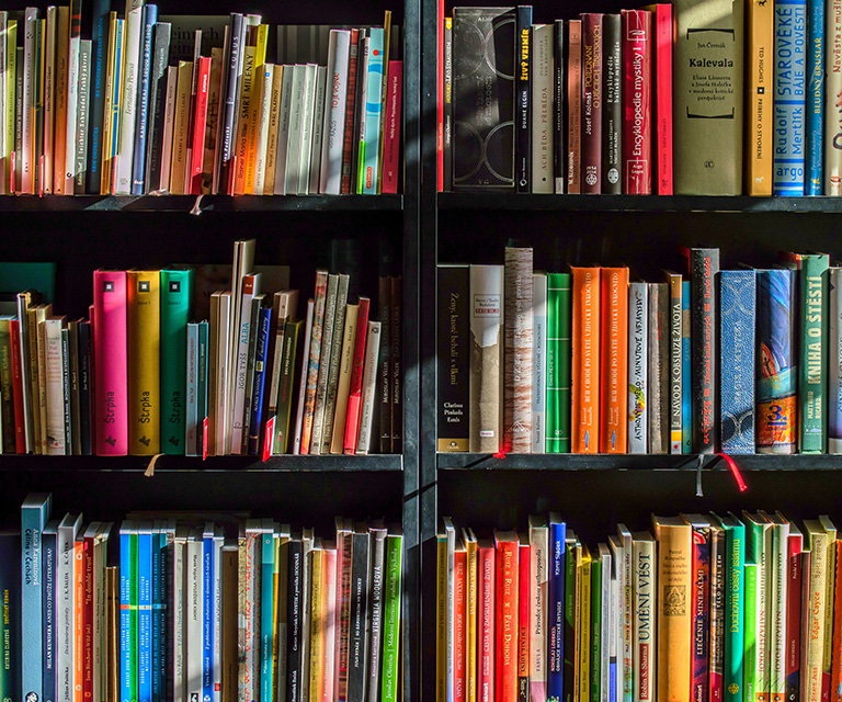 KWR, Kölner Wissenschaftsrunde, Meldung, Köln Neuigkeiten, Wissenschaft, Wissenswertes aus Köln, pexels, UniKoeln