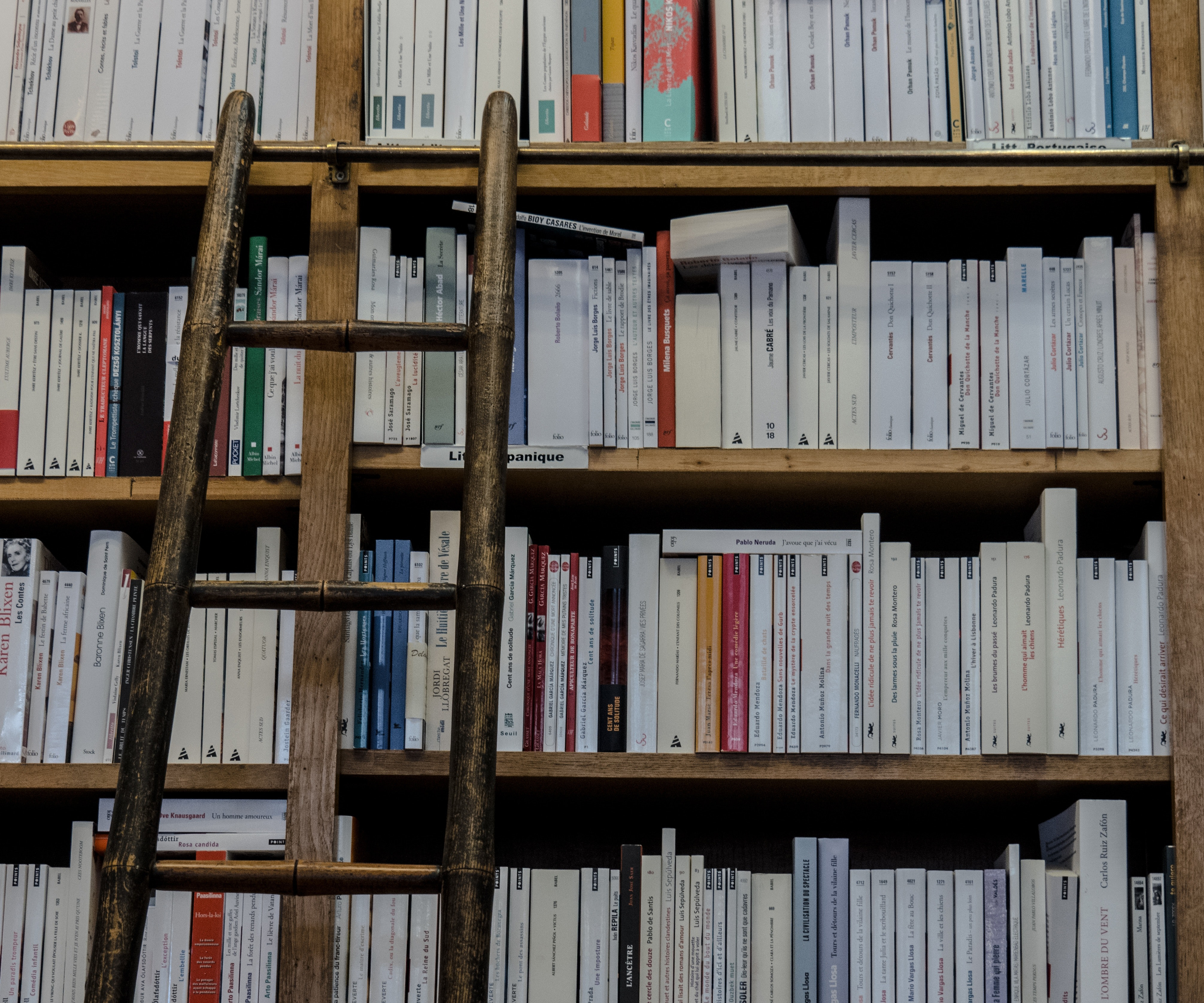 KWR, Kölner Wissenschaftsrunde, Meldungen aus Köln, Wissenschaft