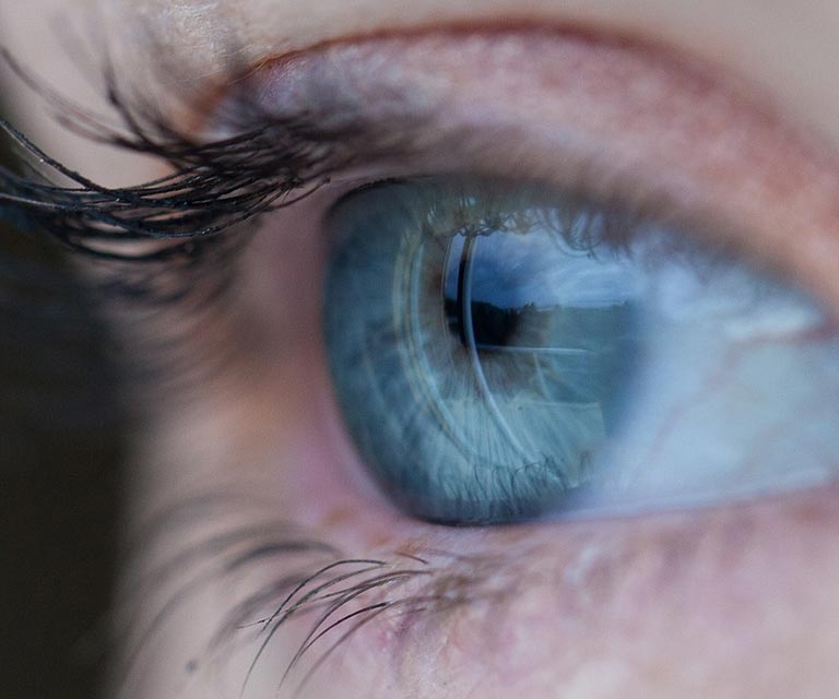 270519_pixabay_Free-Photos KWR, Kölner Wissenschaftsrunde, Meldungen aus Köln, Wissenschaft