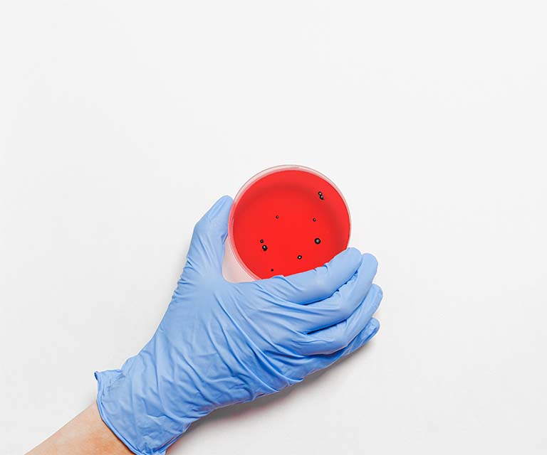 KWR, Kölner Wissenschaftsrunde, Meldungen aus Köln, Wissenschaft