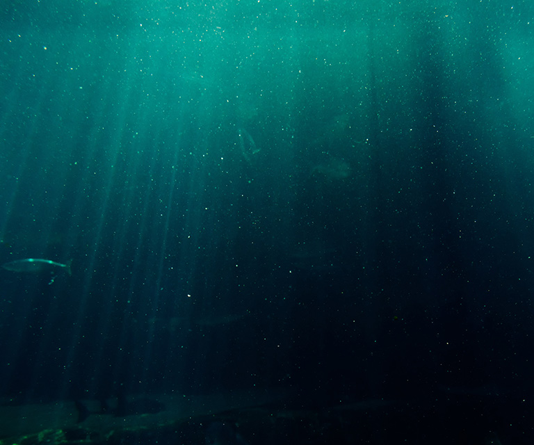 KWR, Kölner Wissenschaftsrunde, Meldungen aus Köln, Wissenschaft