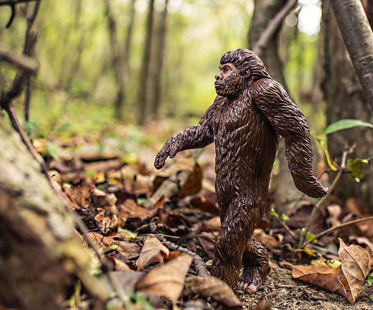 KWR, Kölner Wissenschaftsrunde, Meldungen aus Köln, Wissenschaft