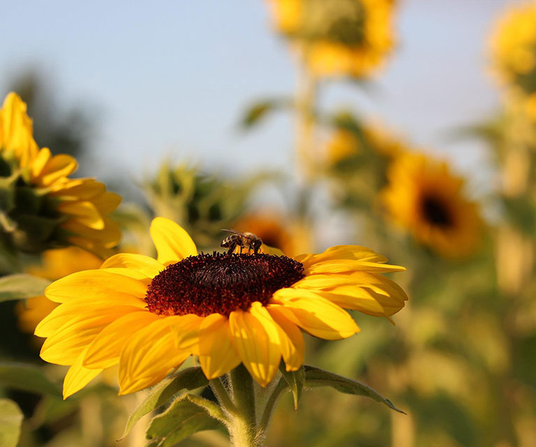 KWR Kölner Wissenschaftsrunde